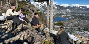 El pehuén como destino: caminar el bosque de araucarias